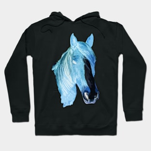 space horse Hoodie